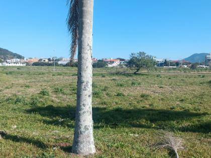 Lote em Florianópolis com 390m² de Terreno