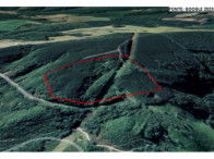 Terreno rural com 8,43 hectares, reflorestamento, acesso difícil