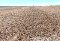 Fazenda Terra Viva com 528,67 HA em Baianópolis/BA