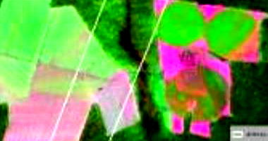 Área Rural em Nova Maringá - MT