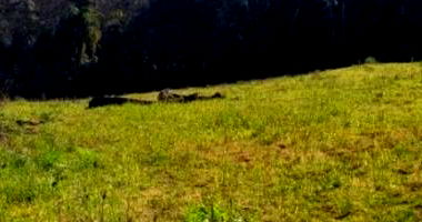 Terreno com Cota Parte em Schroeder/SC