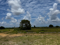 Terreno em Alhandra - PB com 467,11m²