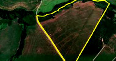 Área Rural com 15,35ha em Palmital, ocupada