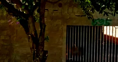 Terreno com benfeitorias em leilão