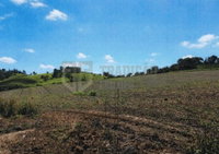 Fazenda Conquista - Gleba de Terras em Alterosa (MG)