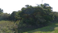 Terreno de 250m² em loteamento