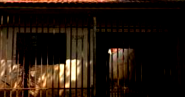 Casa em Maringá/PR com 98m² no Loteamento Grajaú