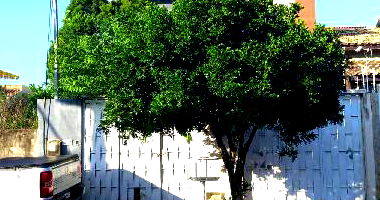 Casa com 2 Quartos e 1 Vaga em Campos dos Goytacazes