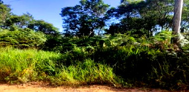 Terreno Urbano em Cotia com 1.349,27 m² - Oportunidade!