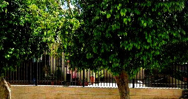 Casa com 3 suítes, home office, porão climatizado e garagem, 193m²