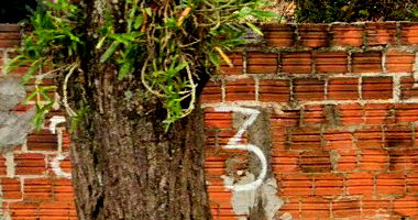 Casa com 338m² no Jardim Alvorada em Paranavaí/PR