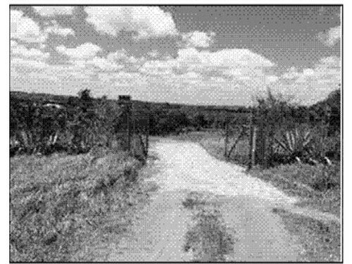 Terreno foreiro com 19,438 ha, ideal para investimento
