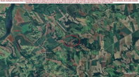 Imóvel rural com 10 alqueires em Assaí/PR