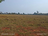 Fazenda com 1.305 hectares em Dois Irmãos do Buriti/MS