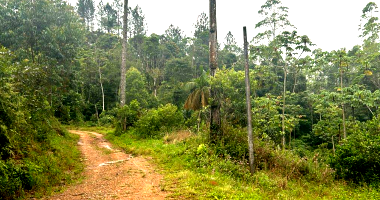 Terreno rural com 146.250m², ocupado, ideal para preservação ambiental