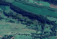Área rural de 50.000m² ocupada em Erval Seco