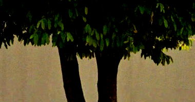 Terreno urbano com garagem e área gourmet, 392m², desocupado