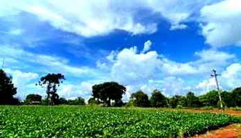 Terreno Urbano de 800m² em Toledo/PR