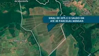 Fazenda Pouso Alegre com 3 Glebas de Terras Rurais