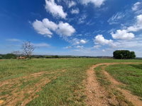 Área de Terras de 48.400m² na Fazenda São Carlos, Mirassol/SP