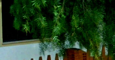 Casa com 406m² no Jardim Evangelista em Califórnia/PR