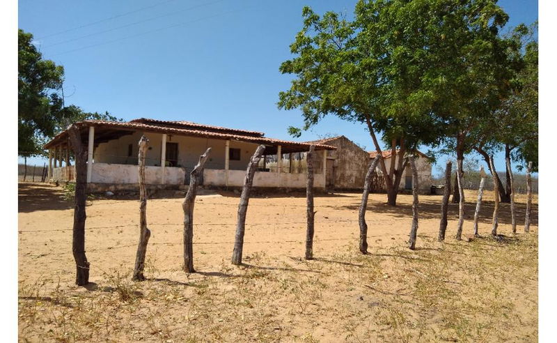 Terreno Rural com 307 hectares em Guamaré - RN