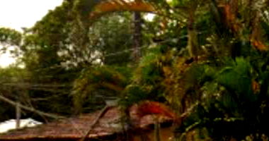 Casa com 3 quartos, 2 banheiros, 205m² construída, ocupada