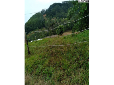 Sítio com 9,65 hectares em Itaiópolis/SC