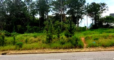 Terreno Amplo em São José/SC - Lote 10