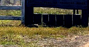 Lote Rural com 74,4512 ha em Pongaí - SP