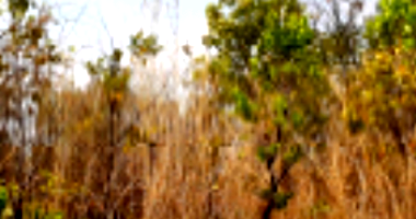 Lote de Terreno com 450m² em Cuiabá/MT