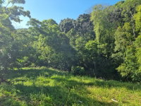 Terreno Rural 6.875m² em Floriano Peixoto/RS - Leilão Judicial
