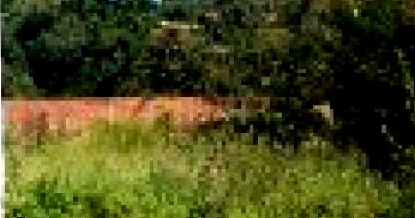 Terreno em Ipameri/GO com 705,5m²