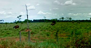 Imóvel Rural com 88ha em Senador Guiomard/AC