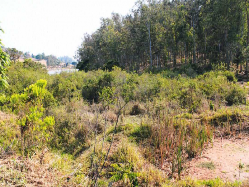 Fazenda com 3.400m² em Monte Belo/MG