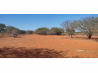 Fazenda Visual - 174,0 hectares - Irecê/BA