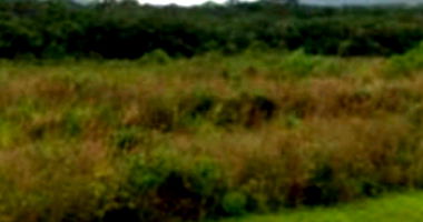 Terreno Amplo com 147.071m² em Pântano do Sul, Florianópolis/SC