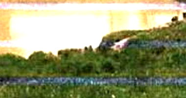 Imóvel Rural com 49,8541 HA em Acrelândia/AC