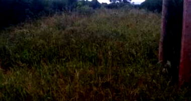 Lote Rural 300m² em Caculé/BA