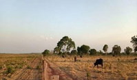 Imóvel Rural com 144,57ha em Dois Irmãos do Tocantins/TO