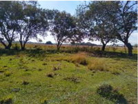 Terreno Urbano com 1.000 m² em Itaguaí - Excelente para Investimento