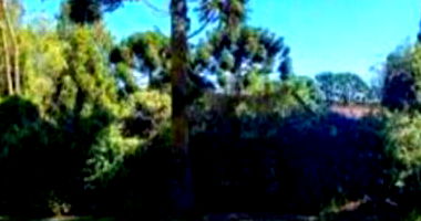 Terreno 1.405m² em Campos do Jordão