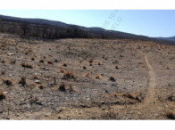 Sítio Rural com 16,66ha em São José do Belmonte/PE