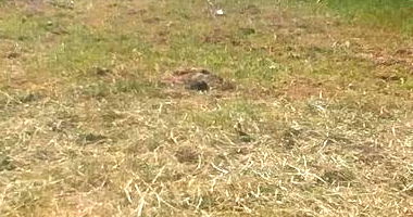 Terreno em Mariluz/PR com 315,25 m²