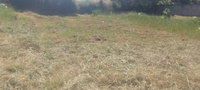 Terreno em Mariluz/PR com 315,25 m²