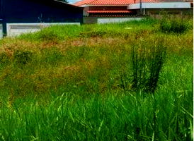 Terreno Residencial com 252m² em São João da Glória/MG