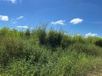 Terreno com 362,40m² em Cáceres/MT