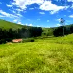 Área de terras com 51 hectares da Fazenda Abismo, terreno amplo e rural