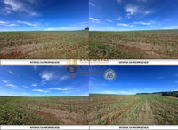 Lote Rural em Braganey/PR com 30,23 hectares