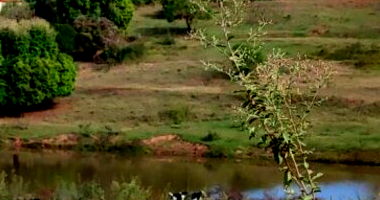 Área Rural em Leilão - Boa Vista, Itaju/SP